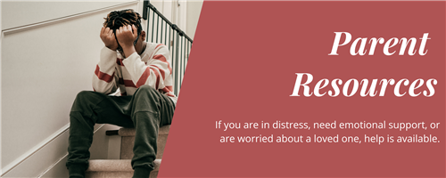 parent resource